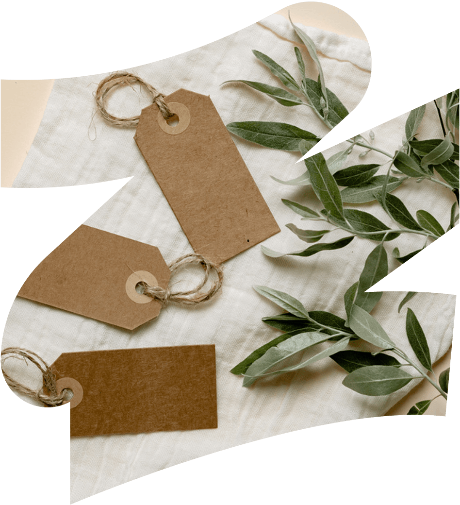 Tarieven Tarieven psychotherapie Den Haag – maatwerk trajecten bij Mariposha.