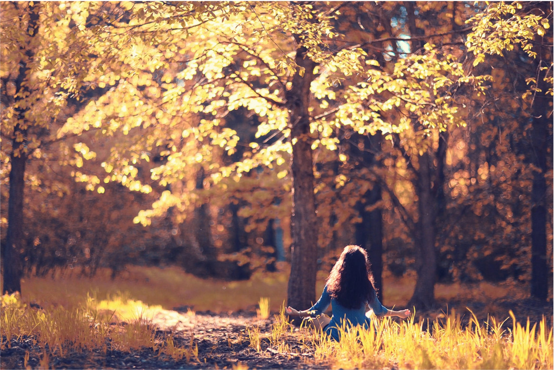 Herstel van burn-out klachten Burn-out herstel Den Haag – Mariposha